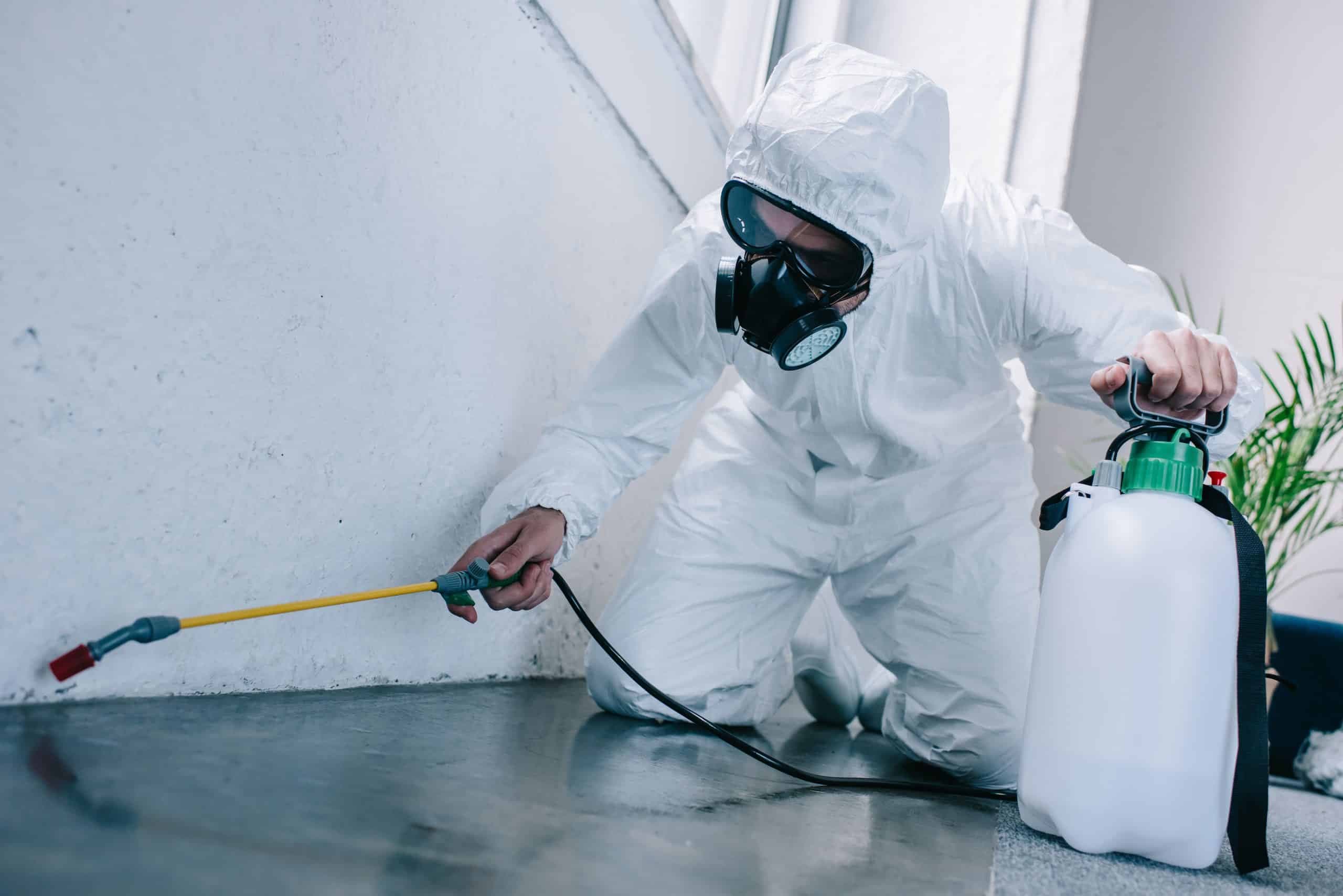 Traitement anti-nuisibles professionnel — Biohotte Nuisibles Paris Île-de-France